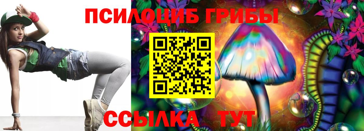 Анжеро-Судженск  Псилоцибиновые грибы Psilocybine cubensis  Вход с VPN  Псилоцибиновые грибы Psilocybe 